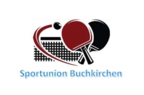 Logo Sektion Tischtennis.